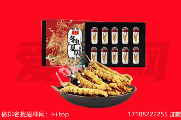 锡林郭勒锡林浩特市回收虫草.jpg